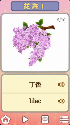 儿童卡片阅读识花木
