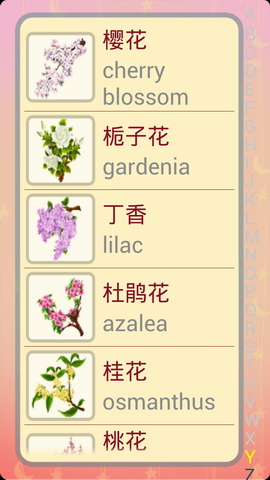 儿童卡片阅读识花木