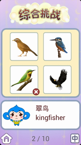儿童卡片阅读认识小鸟