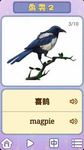 儿童卡片阅读认识小鸟