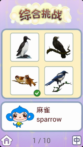 儿童卡片阅读认识小鸟