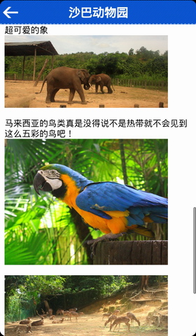 沙巴旅游攻略
