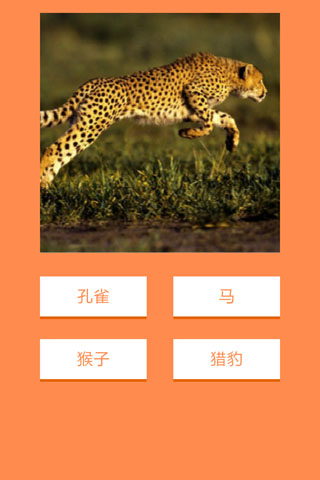 动物萌萌哒
