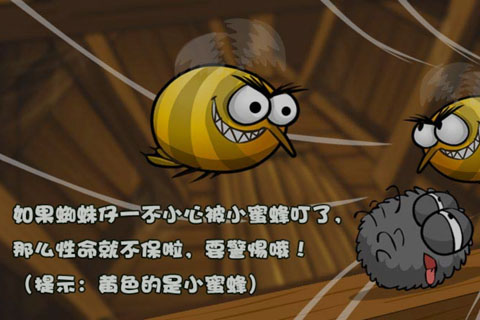 蜘蛛仔豆豆