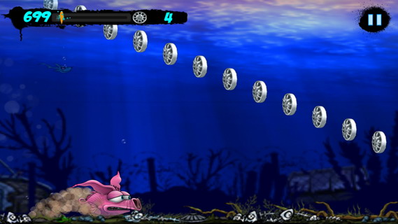 猪脸鱼:PigFish