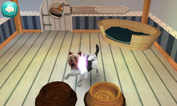 狗狗旅馆：Gog Hotel My Boarding Kennel