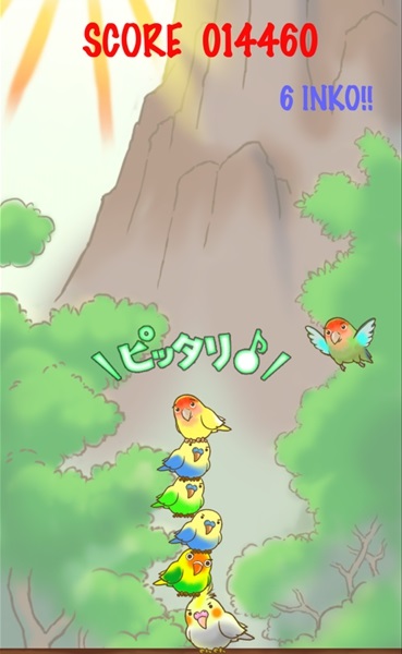 鹦鹉罗汉