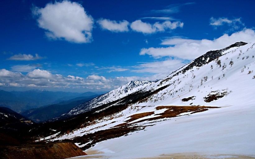 云南白马雪山自然风景手机壁纸