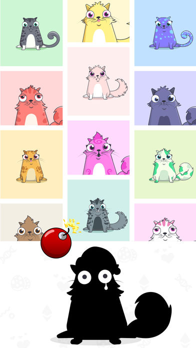 以太猫