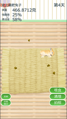治愈兔兔养成