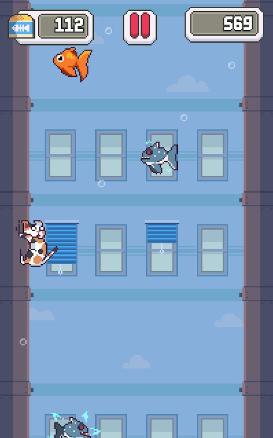 猫咪跳跃