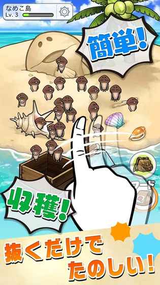 滑子菇栽培豪华版