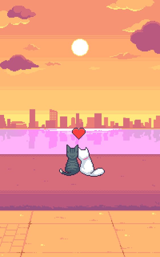 猫咪跳跃