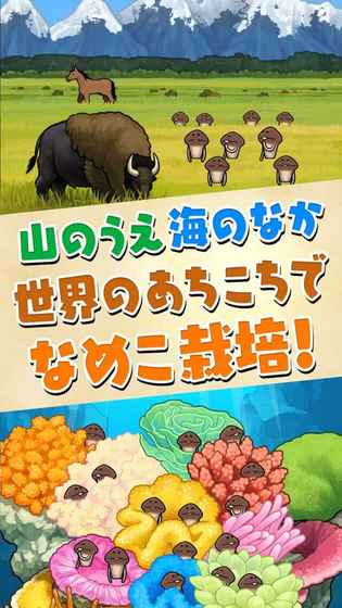 滑子菇栽培豪华版