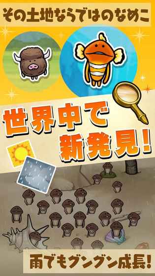 滑子菇栽培豪华版