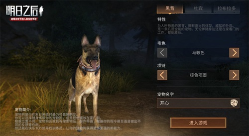 拳皇群星