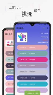 彩羽