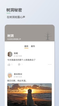 青桔日记