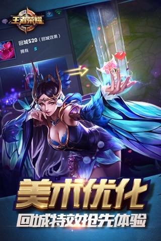王者荣耀皮肤助手4.9.5