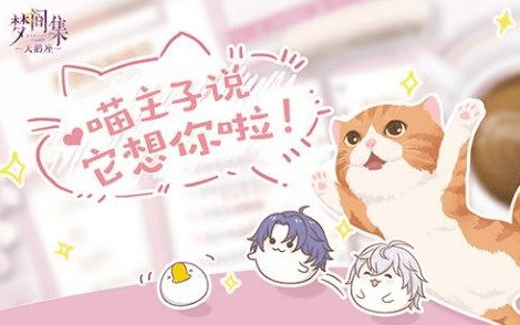 梦间集宠物猫怎么玩_梦间集宠物猫玩法攻略