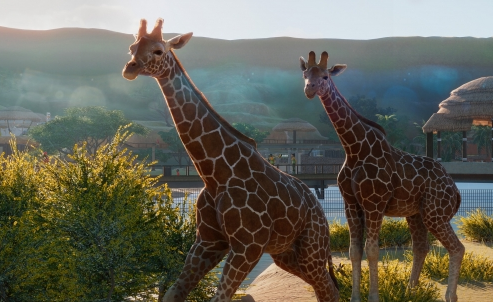 动物园之星教学关怎么换玻璃_教学关换玻璃方法