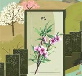 老农种树种子卡片答题答案是什么_种子卡片答题答案攻略