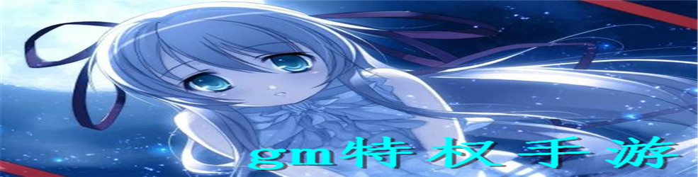 gm特权手游