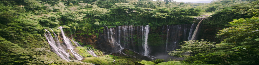 日系泳装手游
