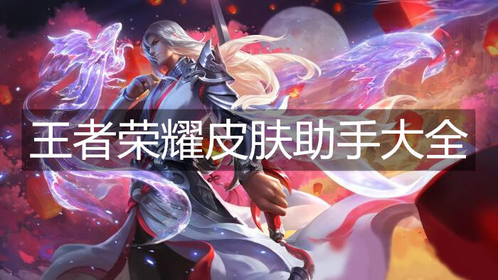 王者荣耀皮肤助手大全