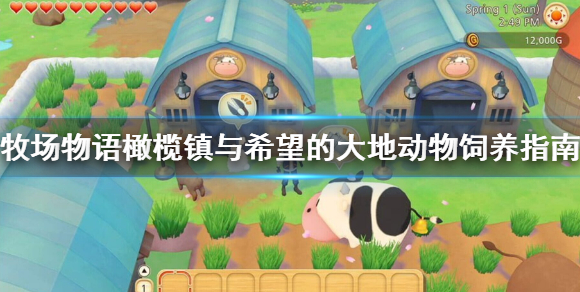 牧场物语橄榄镇与希望的大地动物怎么饲养_动物饲养玩法