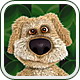 会说话的狗狗本:Talking Ben the Dog