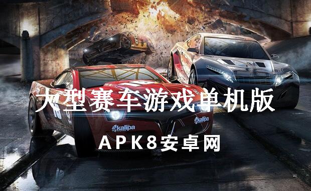 大型赛车游戏单机版