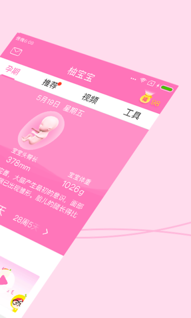柚宝宝孕育