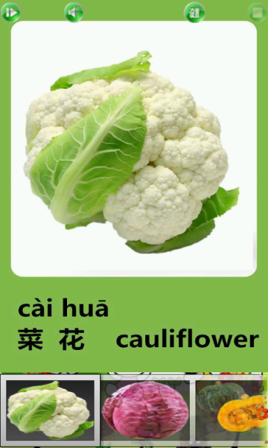 认识蔬菜宝宝早教