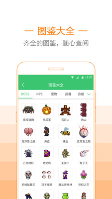 泰拉瑞亚助手