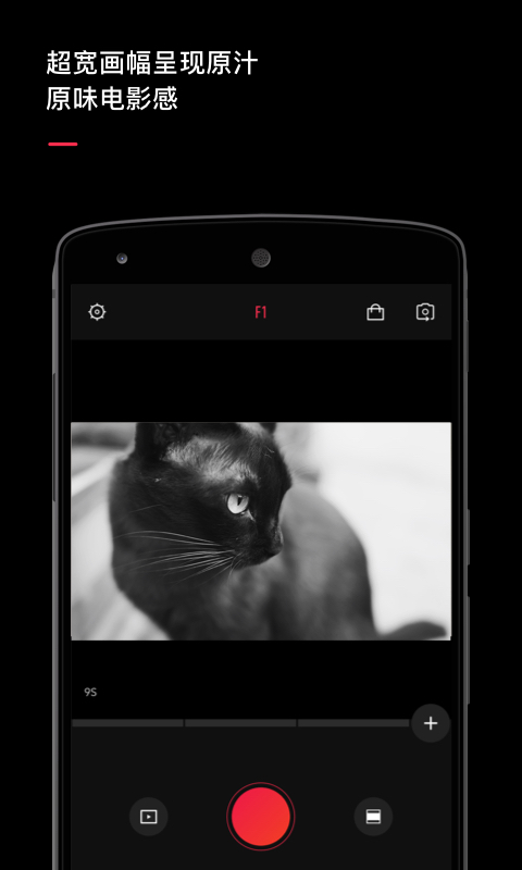 VUE