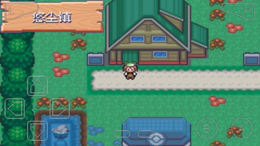 口袋妖怪黑蓝电光