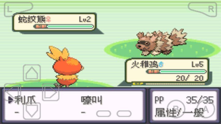 口袋妖怪黑蓝电光