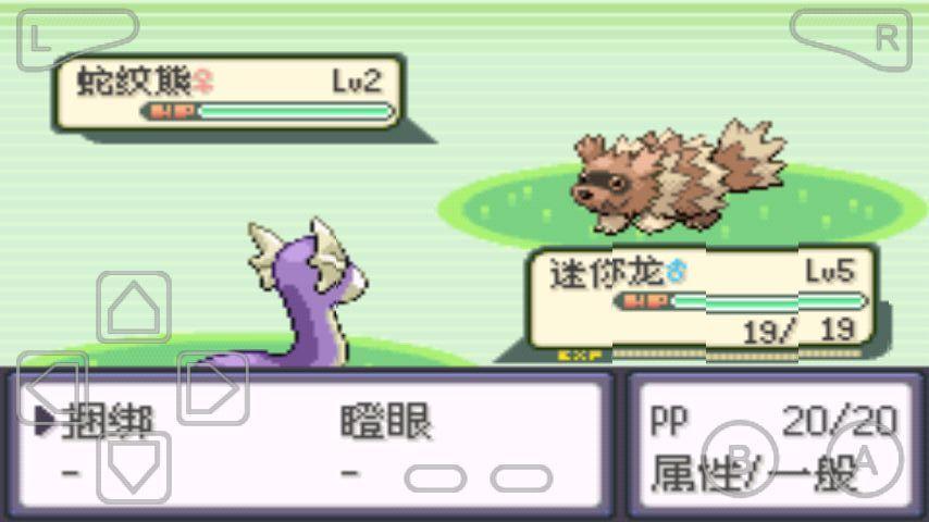 口袋妖怪黑蓝电光