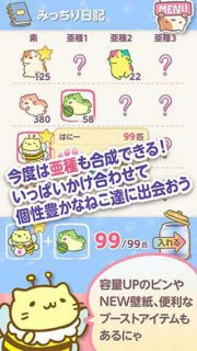 萌猫养成罐2