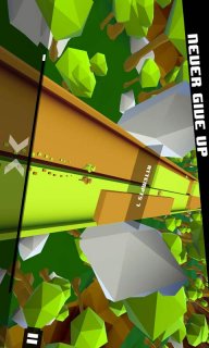 双生奔跑者2