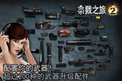 枪林弹雨2