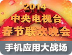 2014马年春晚广告